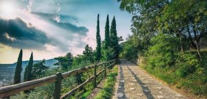 Virtuoso nasce con l'obiettivo di incentivare e premiare le persone che scelgono di vivere uno stile di vita salutare - foto di Giangiacomo Rocco di Torrepadula
