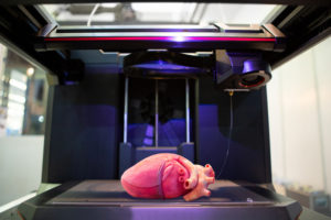 Stampa 3D degli organi
